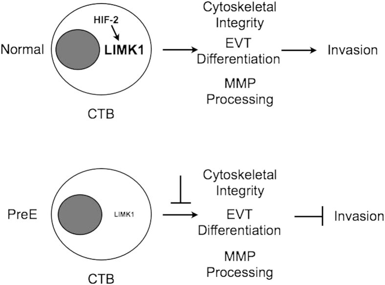 Figure 7