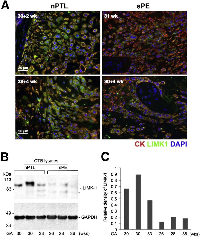 Figure 6