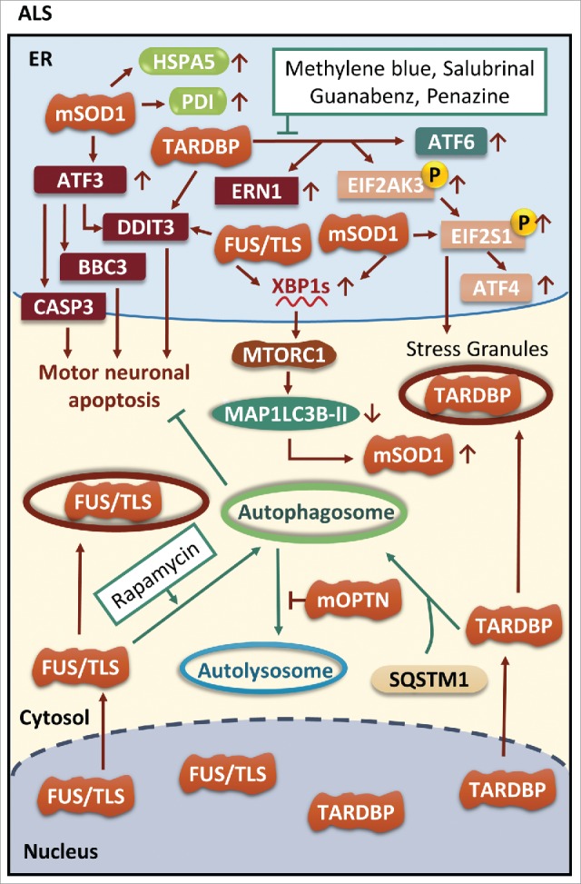 Figure 7.