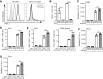 Figure 1. PD-L1 impairs CD8+ T-cell priming by LECs in vitro. A and B, Example histograms (A) and quantification (B) of PD-L1 expression in wild-type (WT) and PD-L1ko LECs determined by FACS (N = 3 independent experiments). IFNγ was used as positive control to further induce PD-L1 expression. C–G, WT and PD-L1ko LECs were loaded with SIINFEKL peptide and cocultured with naive CD8+ OT-1 cells O/N. OT-1 expression of CD69 (C), IFNγ (D), Ki67 (E, left), proliferation (CFSE dilution; E, right), PD-L1 (F), and PD-1 (G) was determined by FACS. One representative of three independent experiments is shown (N = 5). *, P < 0.01; **, P < 0.01; ***, P < 0.001; ****, P < 0.0001, one-way ANOVA with paired Sidak post-test.