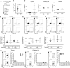 Figure 3. Deletion of lymphatic PD-L1 increases the efficiency of adoptive T-cell transfer in the B16-ova melanoma model. A, Schematic representation of the adoptive T-cell therapy (ACT) approach in B16-ova–bearing mice. B, Primary tumor weight in Cre+ PD-L1LECKO mice and Cre− controls at the endpoint. C, Quantification of total CD8+ T cells in tumor, draining LNs, and spleen. D–F, Representative FACS plots (pre-gated for endogenous, CD45.1− CD8+ T cells) and quantification of endogenous CD8+ T cells specific for ova (ovalbumin) or pmel in tumors (D), draining LNs (E), and spleen (F). G, Representative FACS plots (pre-gated for CD8+ T cells) and quantification of CD45.1− endogenous and CD45.1+-transferred OT-1 CD8+ T cells in tumors, draining LNs, and spleens (N = 6 Cre−/7 Cre+ mice). *, P < 0.05, Student t test.