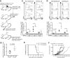 Figure 5. Lymphatic PD-L1 deletion increases the functionality of tumor-specific memory T cells. A, C57Bl/6 wild-type mice received an adoptive transfer of CD8+ T cells from B16-ova–draining LNs of PD-L1LECKO mice or Cre− controls and were subsequently challenged by ovalbumin injection into the hind paw. B, Ratio of the absolute number of ova-specific CD8+ T cells in challenged (draining) popliteal LNs compared with contralateral (non-draining) popliteal LNs. C and D, Representative FACS plots (pre-gated for ova-specific CD8+ T cells) and ratio of ova-specific CD8+ TEM, TCM, and naive (F) or activated (G) T cells in challenged (draining) versus contralateral (non-draining) popliteal LNs (N = 3 Cre−/4 Cre+ mice). E and F, C67Bl/6 wild-type mice received T cells as in A and were subsequently challenged with B16-ova tumor cells. Graphs show survival (E) and tumor volume (F) for each individual mouse (N = 4 Cre−/5 Cre+ mice). *, P < 0.05; Student t test.