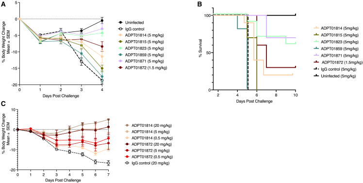 Figure 6