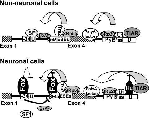 FIG. 9.