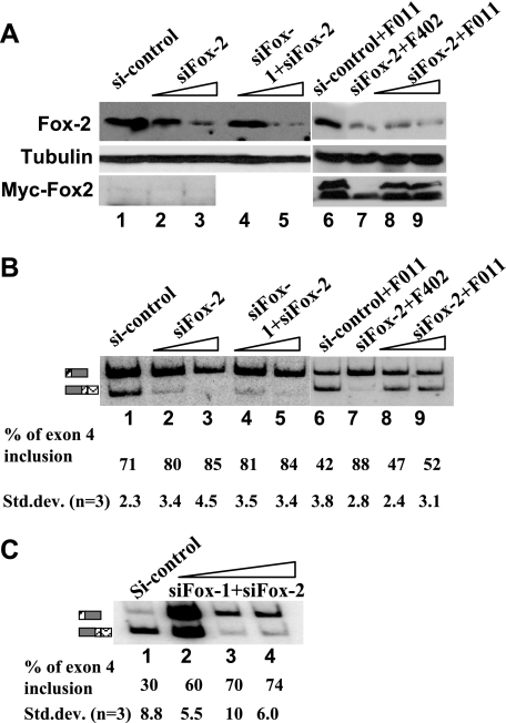 FIG. 4.