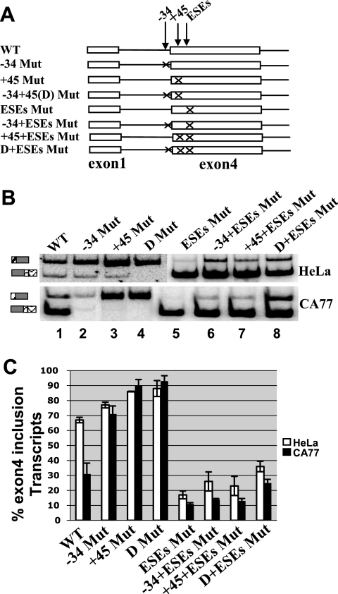 FIG. 7.