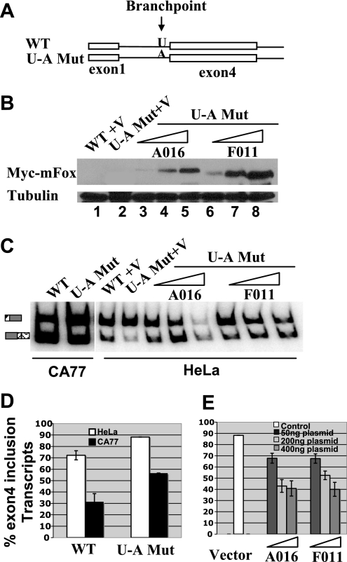 FIG. 8.