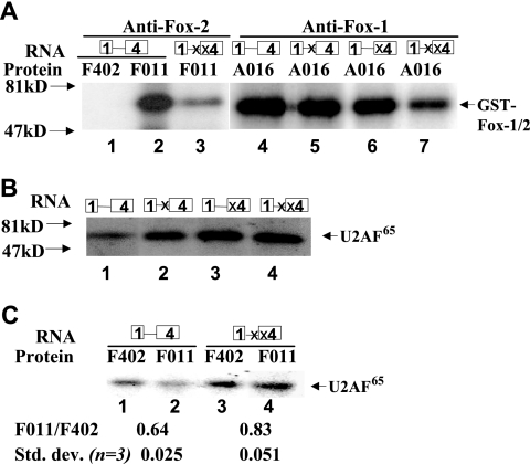 FIG. 5.