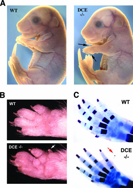 FIG. 7.