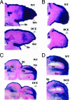 FIG. 6.