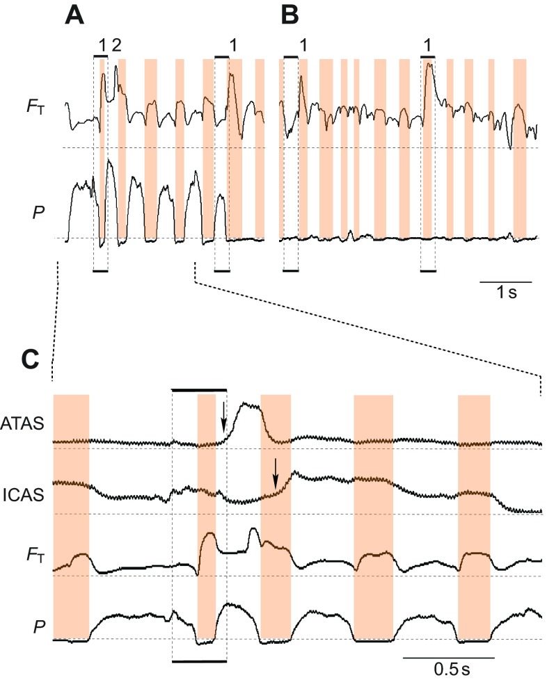 Fig. 8.