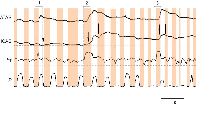 Fig. 9.