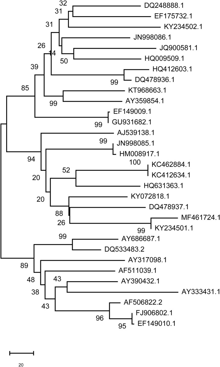 Figure 10