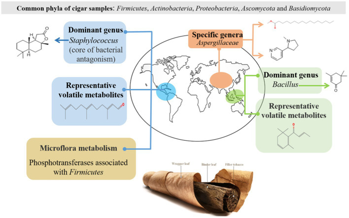 GRAPHICAL ABSTRACT