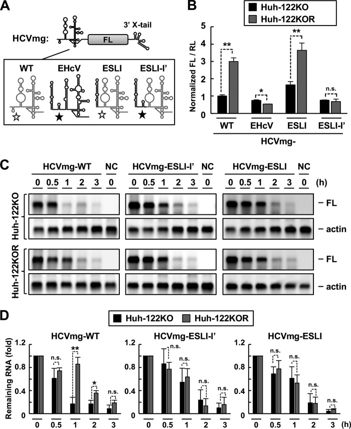 FIG 7