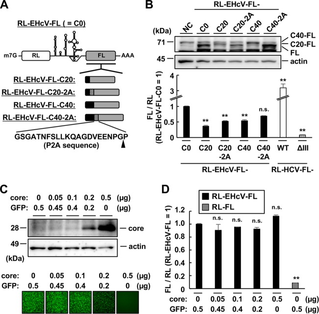 FIG 2