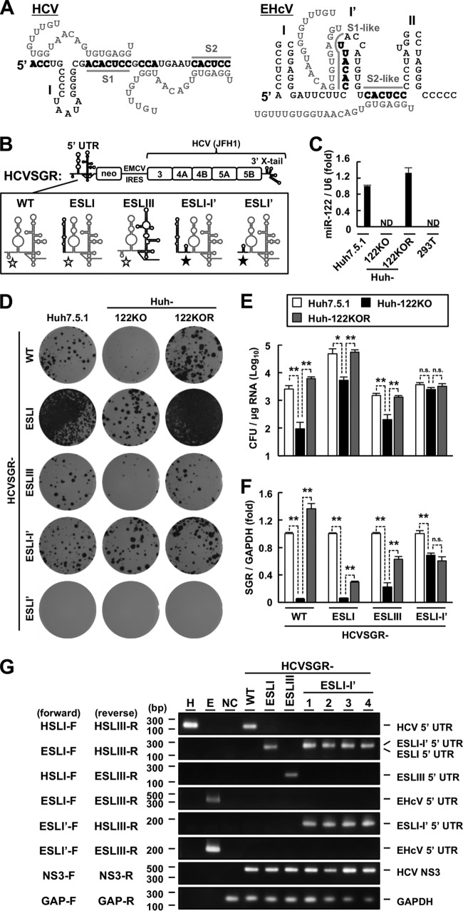 FIG 6