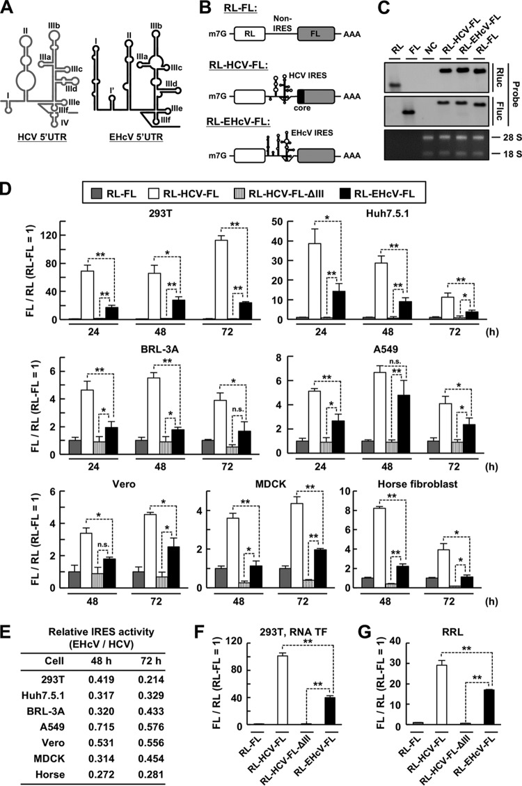 FIG 1