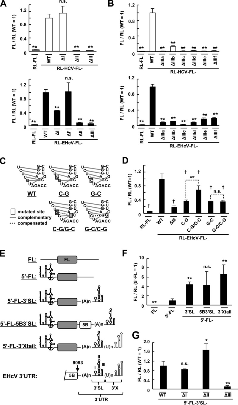 FIG 3