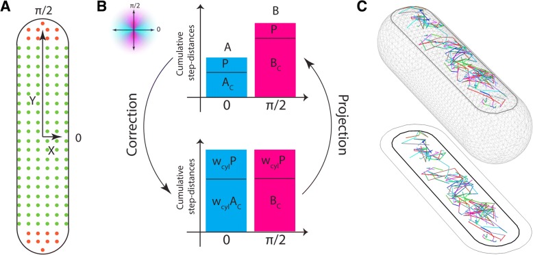 Fig. 3