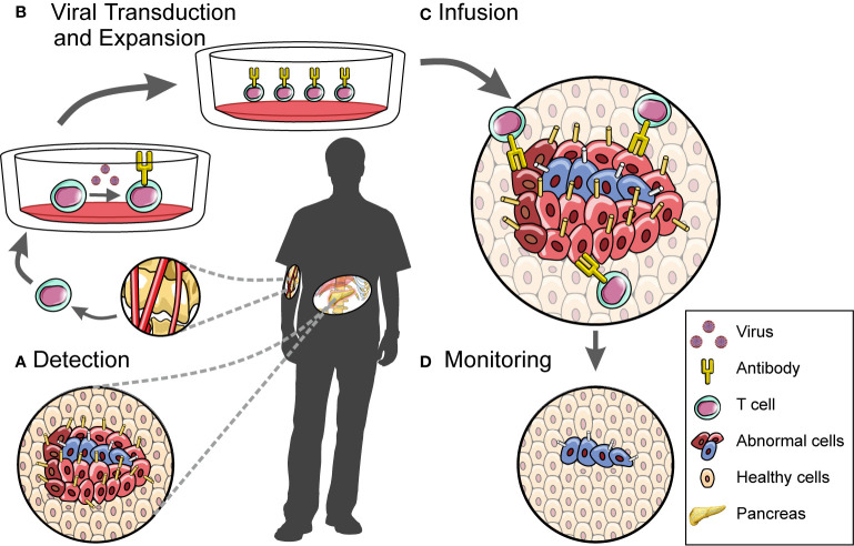 Figure 2