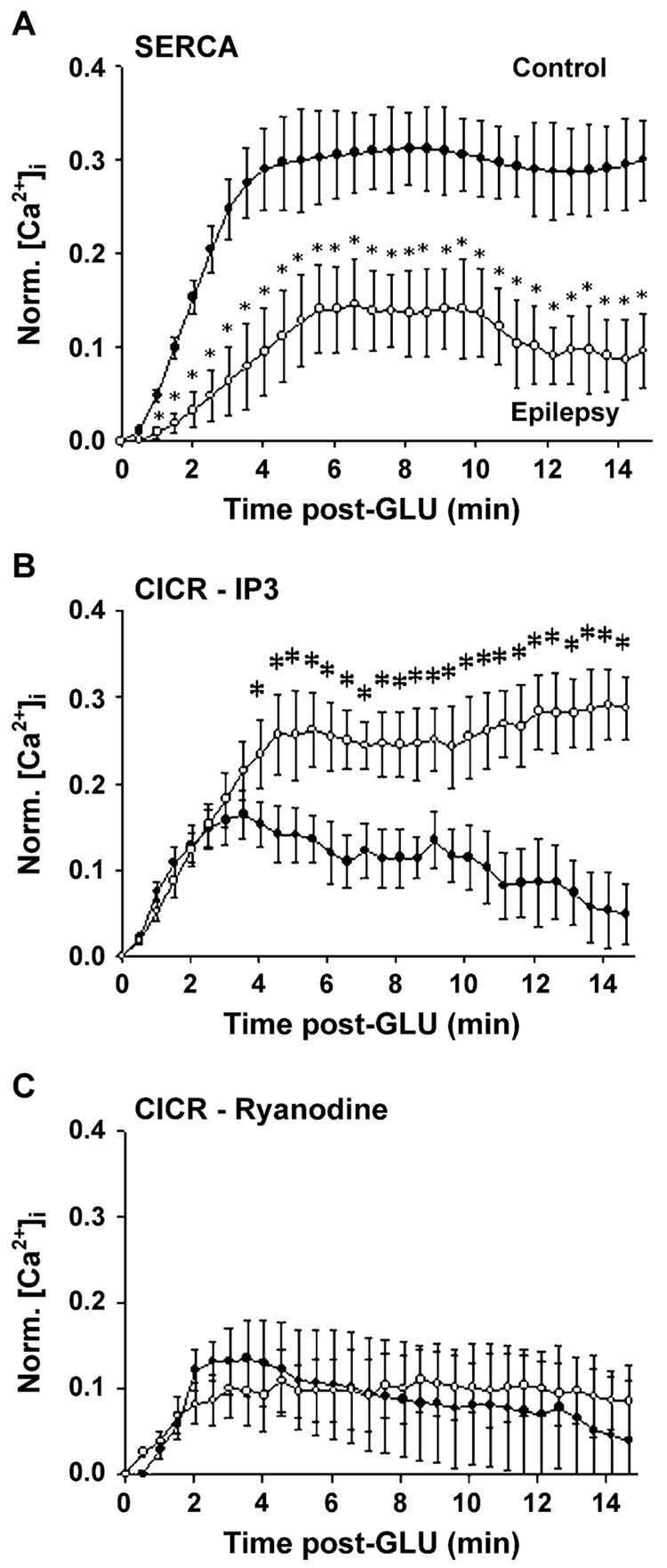 Fig. 12