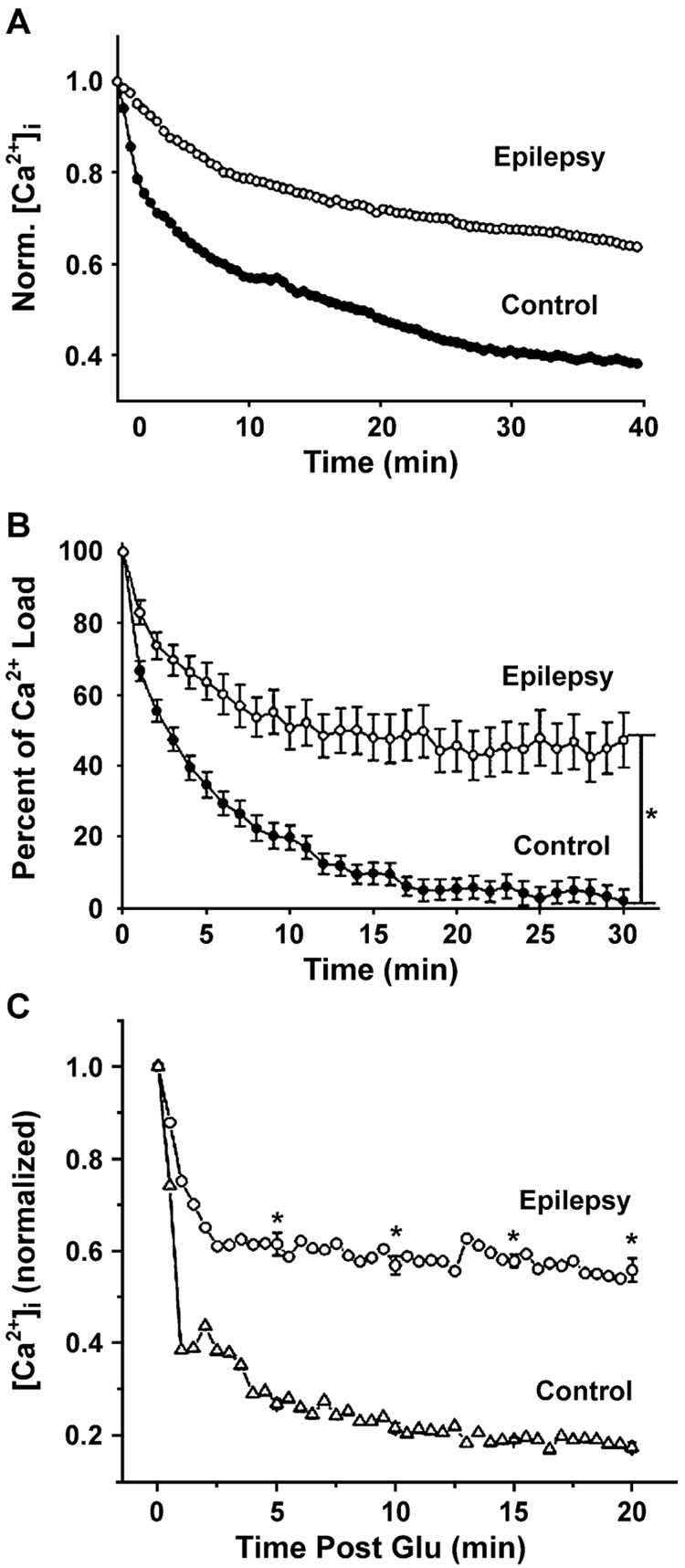 Fig. 10