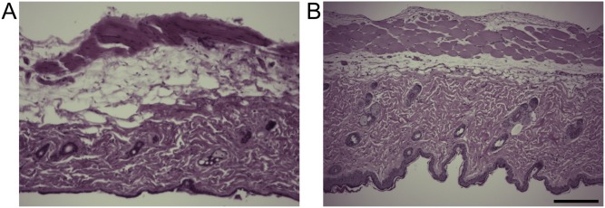 Fig. S8.