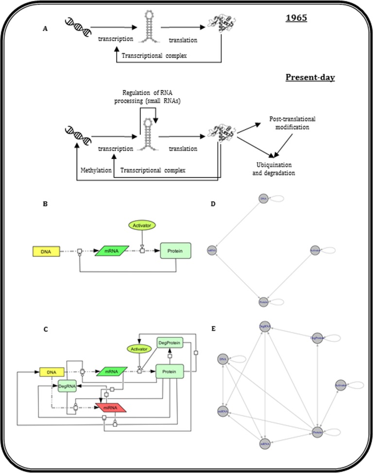 Fig 1