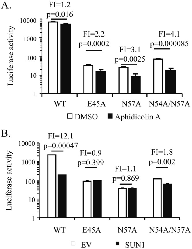 FIG 6