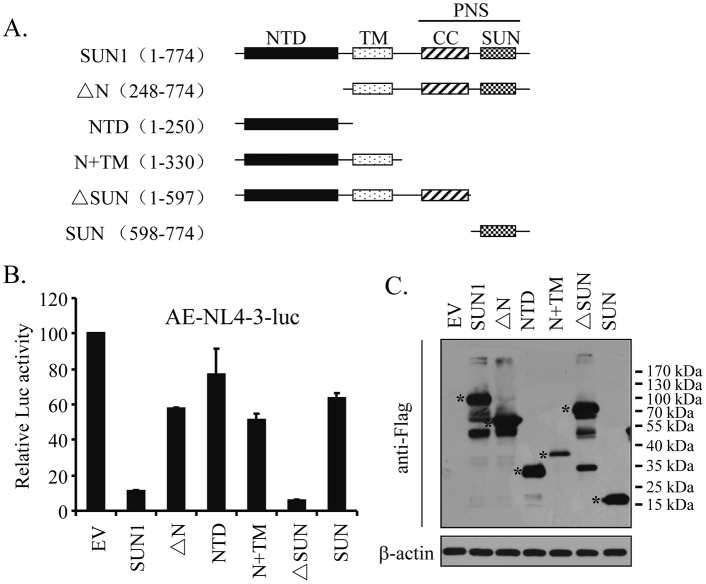 FIG 3