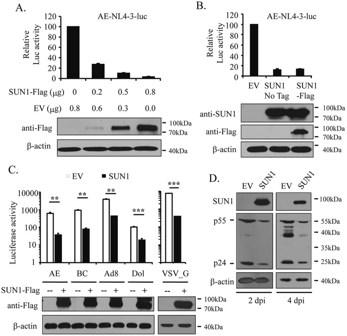 FIG 1