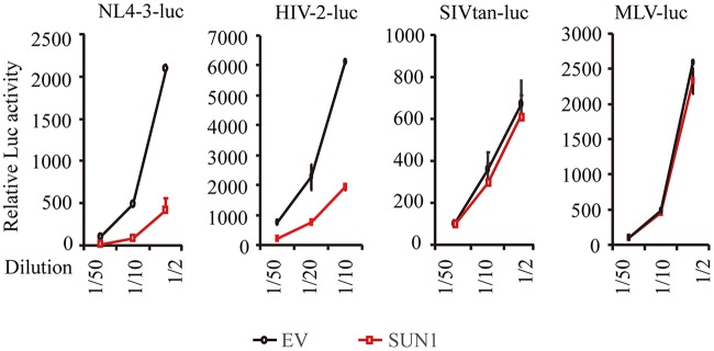 FIG 2