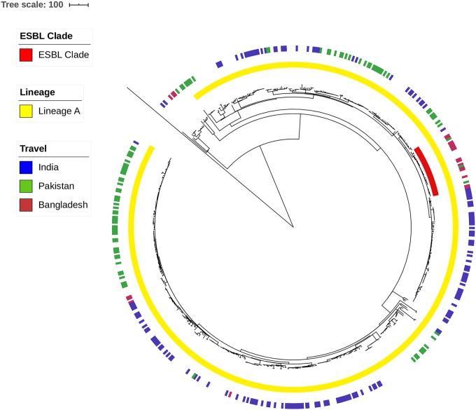 Fig 3