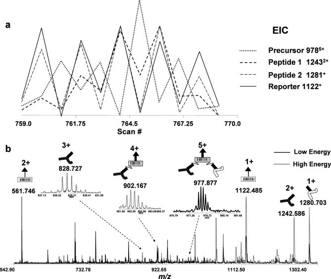 Fig. 4.