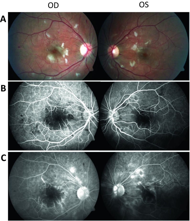 Fig. 1