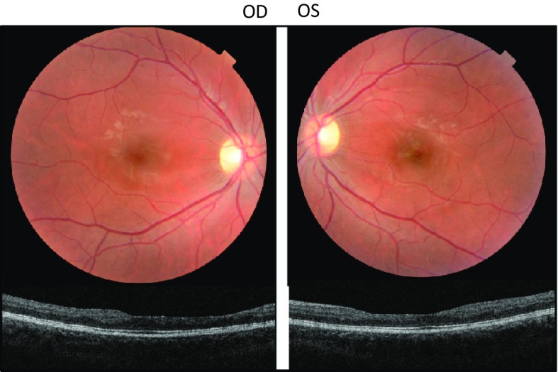 Fig. 3