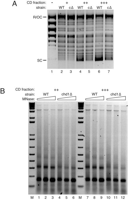 FIG. 8.