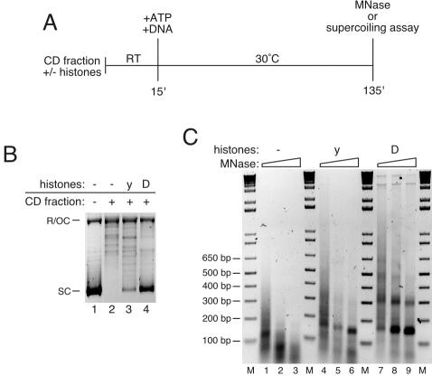 FIG. 2.