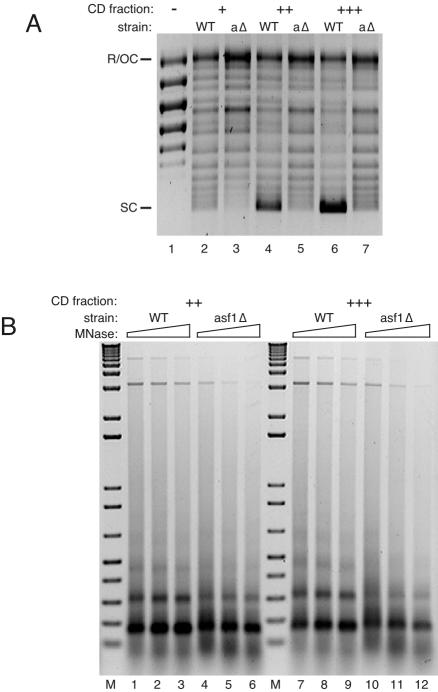 FIG. 7.