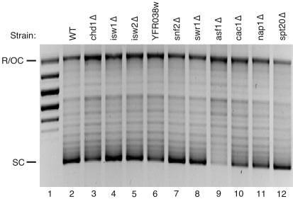 FIG. 5.