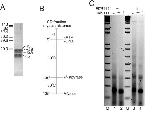 FIG. 4.