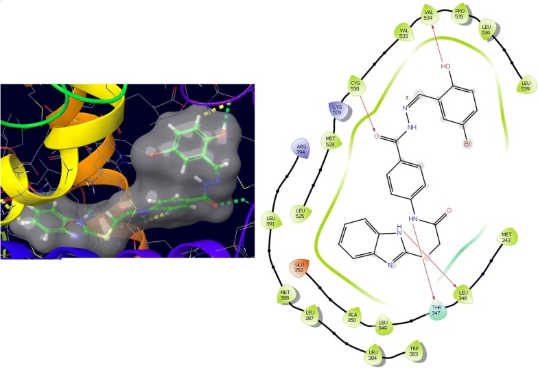 Fig. 10