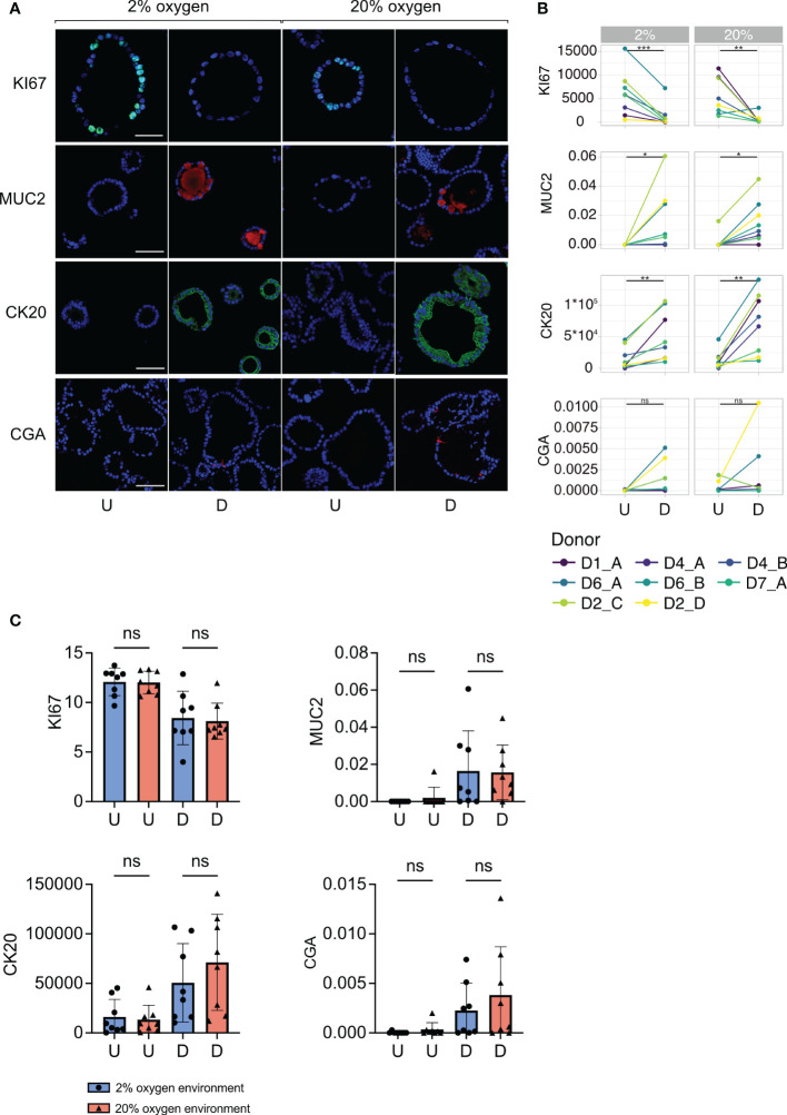 Figure 3