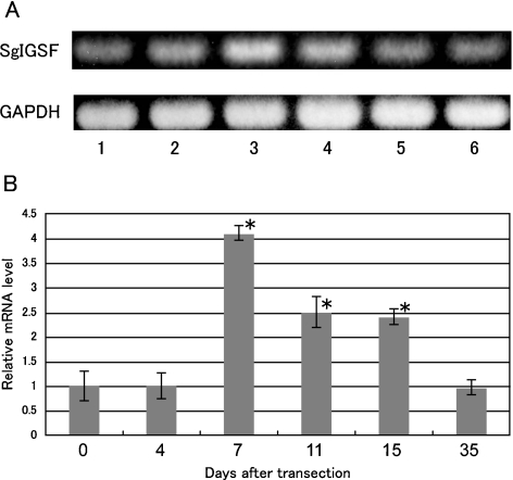 Fig. 2