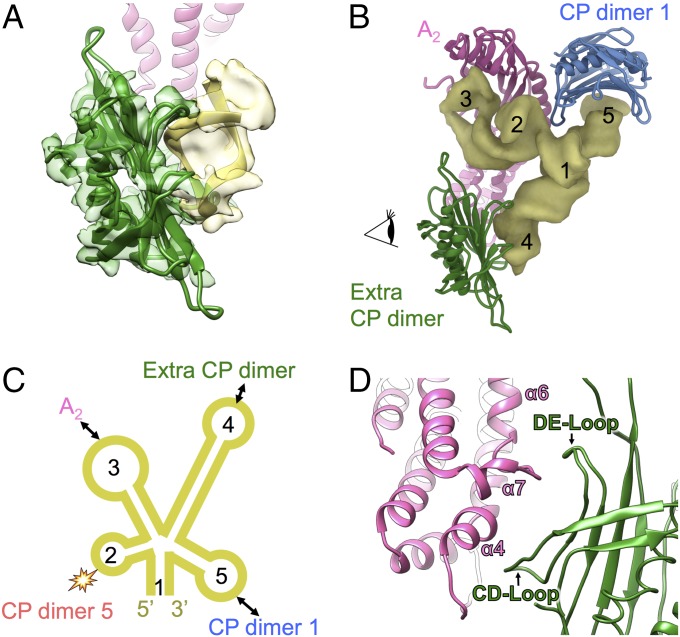 Fig. 4.