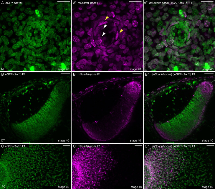 Figure 3.