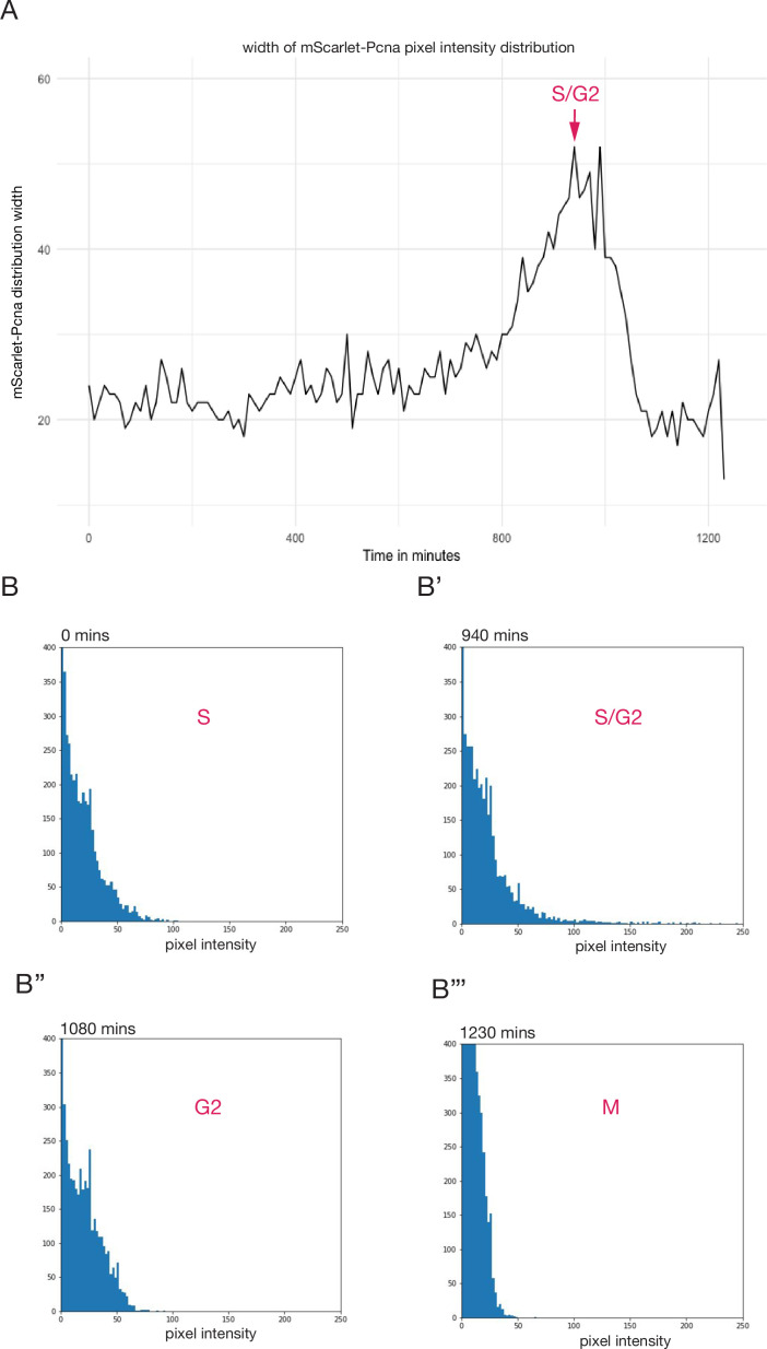 Figure 4—figure supplement 2.