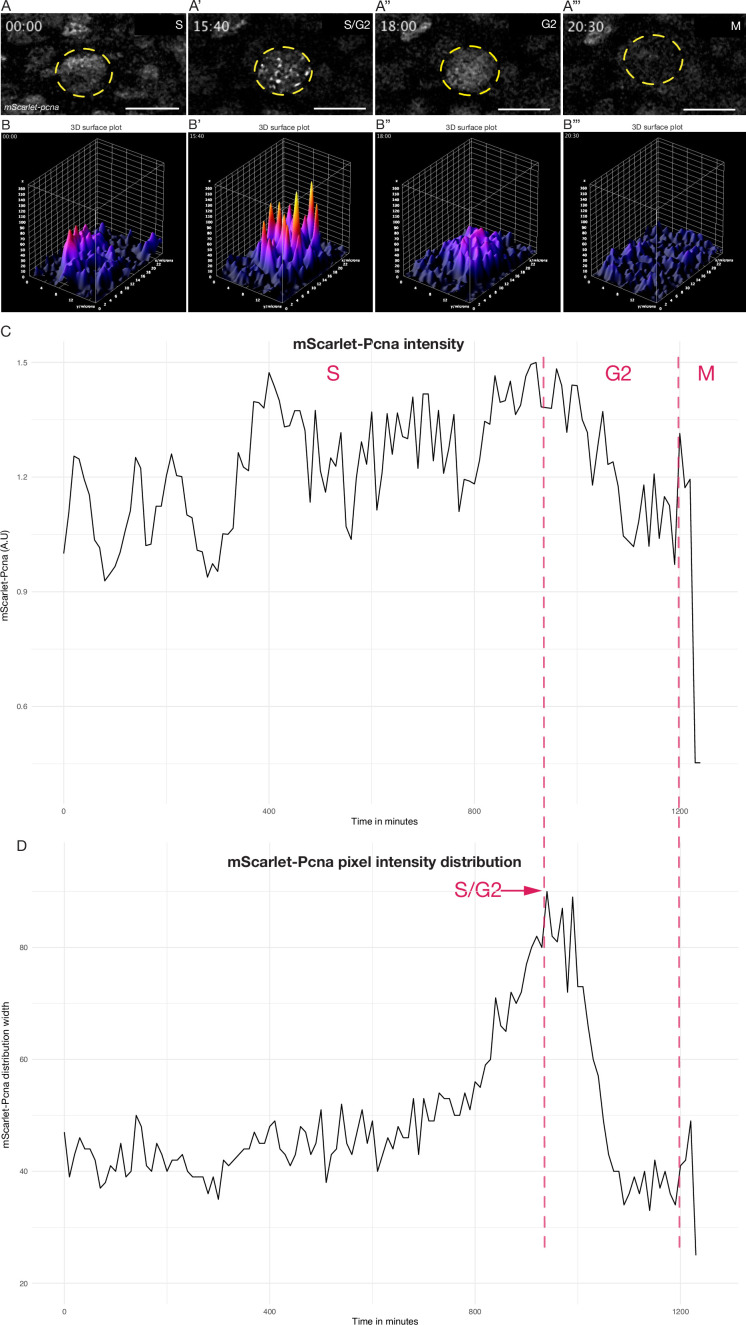 Figure 4.