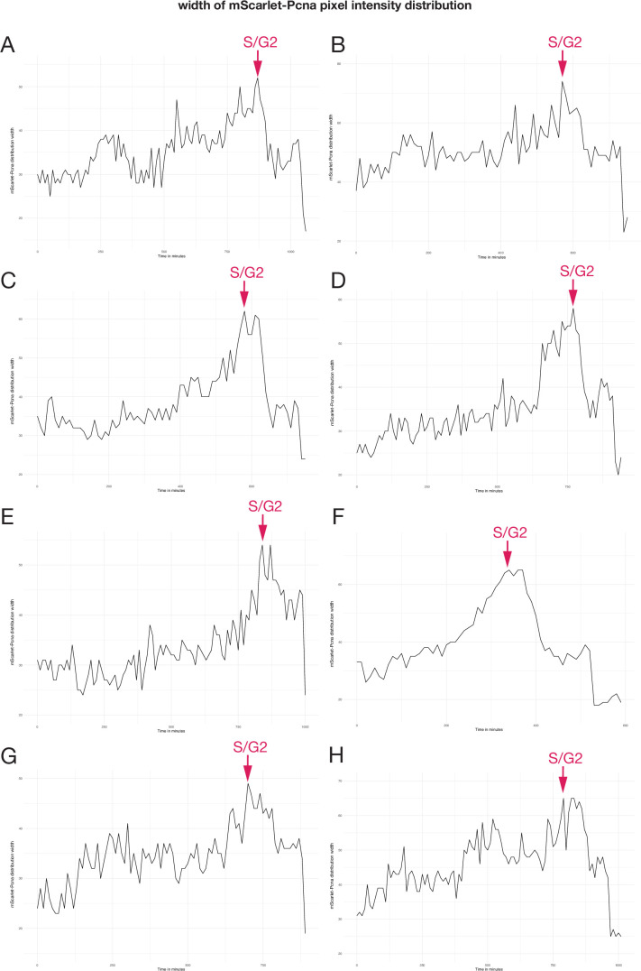 Figure 4—figure supplement 3.